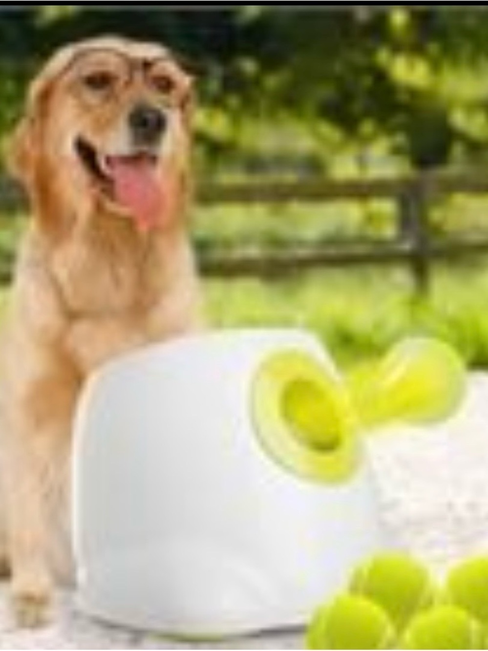 Dog Ball Launcher